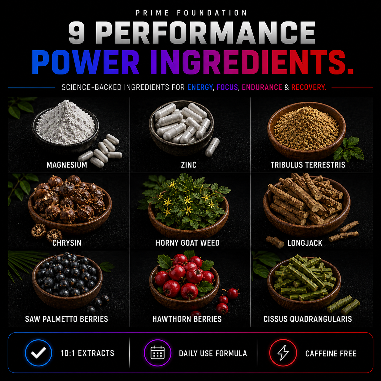 9 Performance Power Ingredients