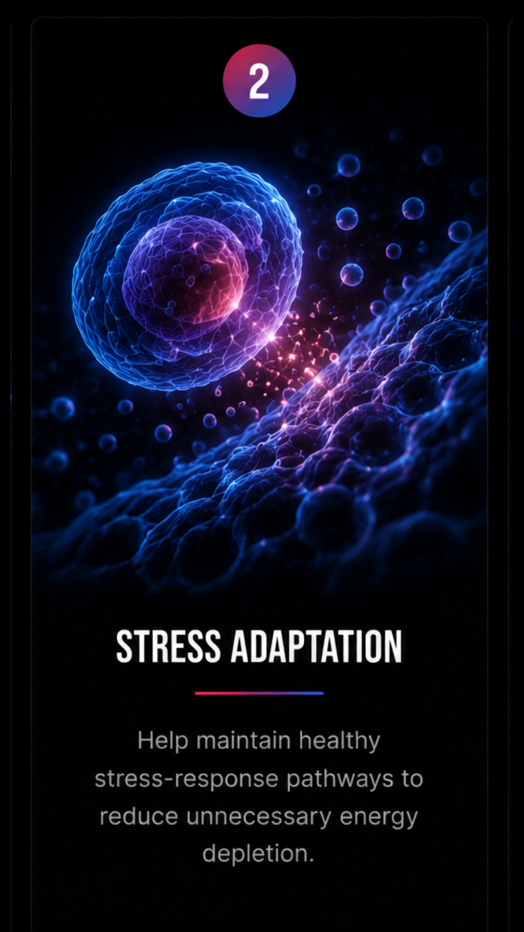 Prime Energy solution 2